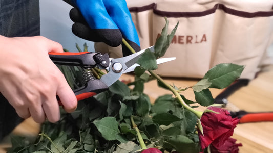 How to prune flowers? The more the flowers are cut, the more prosperous they are!