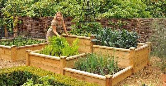 Do you know why most people like to raised garden beds? Here Aimerla would tell you....
